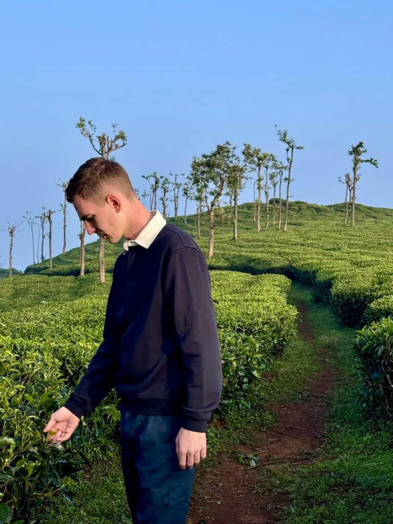 Alex walking through Nilgiri tea plantations